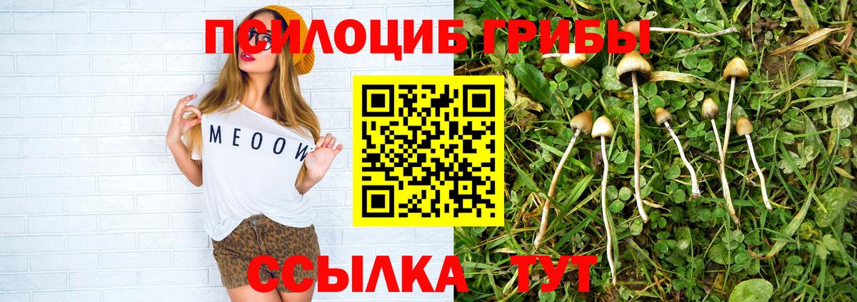 Псилоцибиновые грибы прущие грибы Ржев