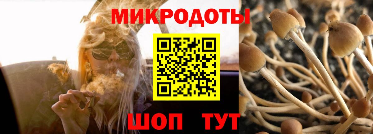 Псилоцибиновые грибы прущие грибы  Вход с VPN  Псилоцибиновые грибы GOLDEN TEACHER  Ржев 