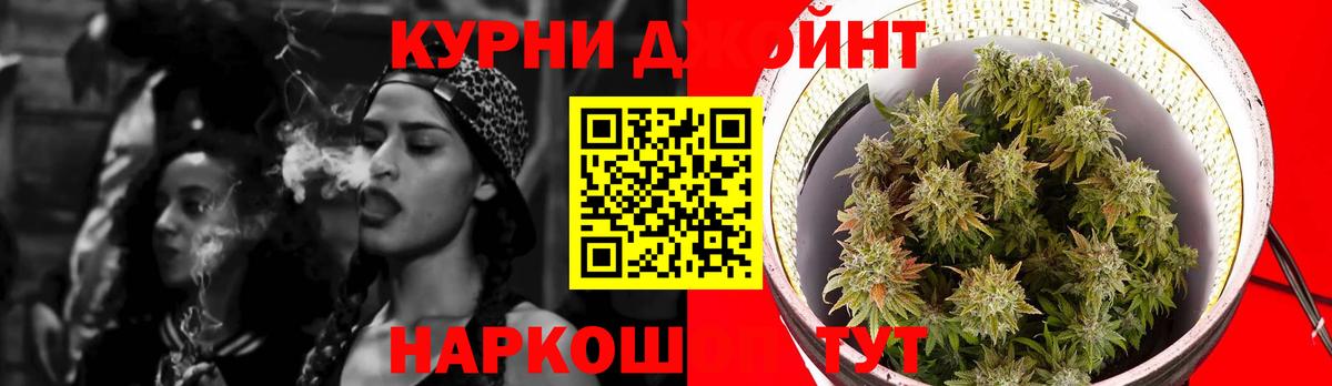 Шишки марихуана планчик  Вход с VPN  Ржев  Каннабис THC 21% 
